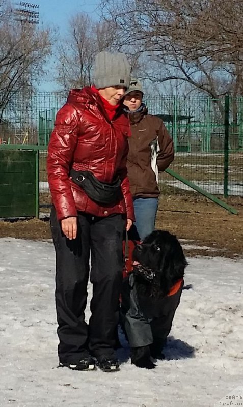 Фотография № 177174