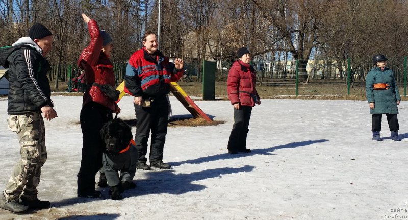 Фотография № 177177