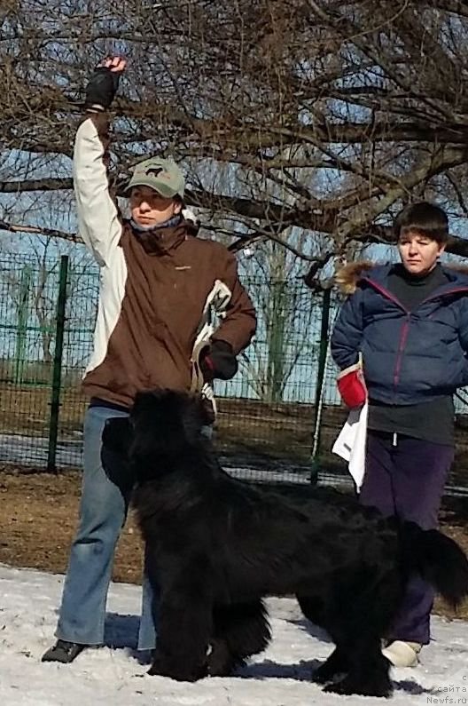 Фотография № 177180