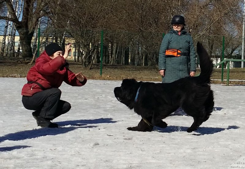 Фотография № 177182