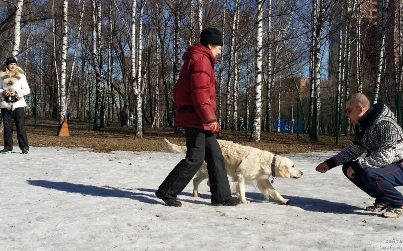 Фотография № 177188