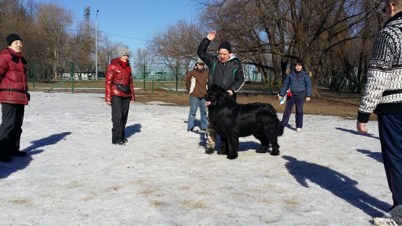 Фотография № 177193