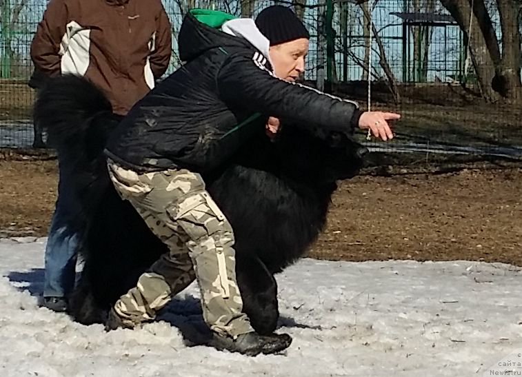 Фотография № 177195