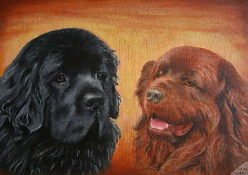 Фотография № 177196