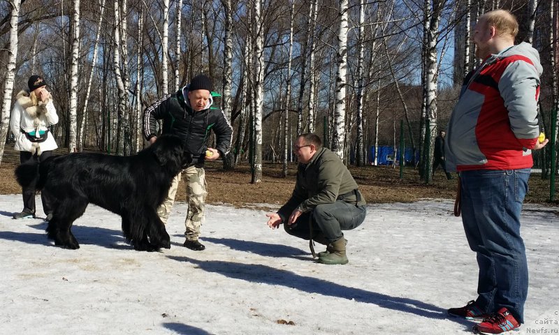 Фотография № 177198