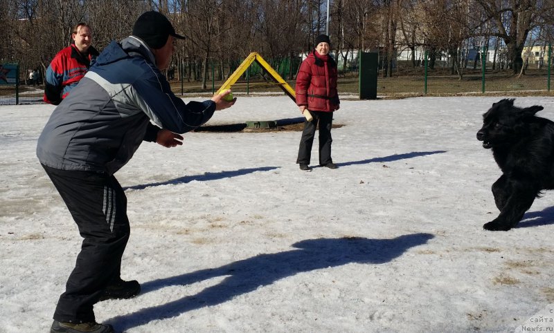 Фотография № 177200