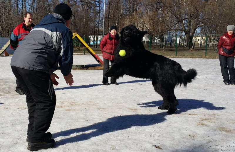 Фотография № 177201