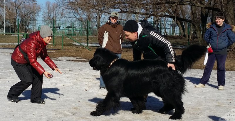 Фотография № 177202