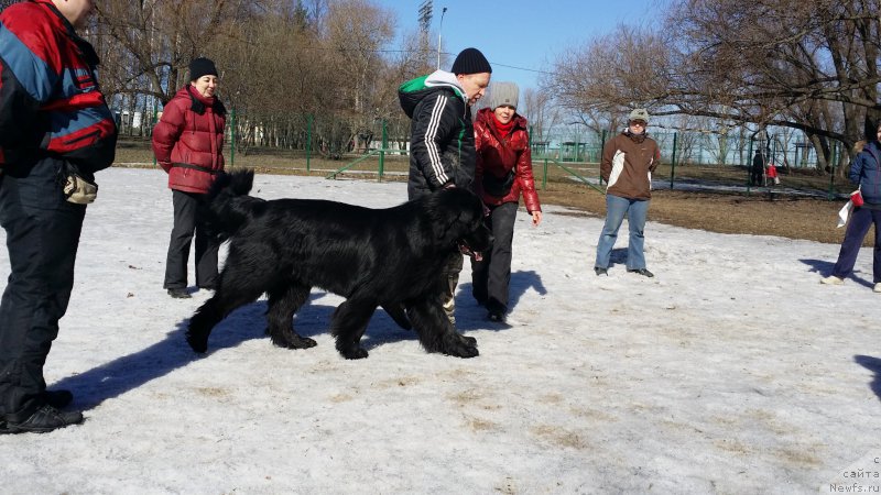 Фотография № 177203