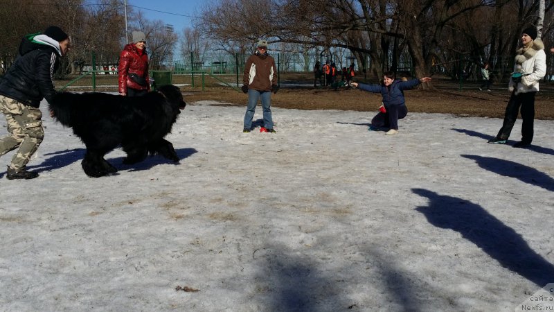 Фотография № 177206