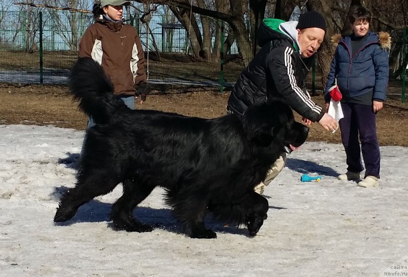 Фотография № 177213