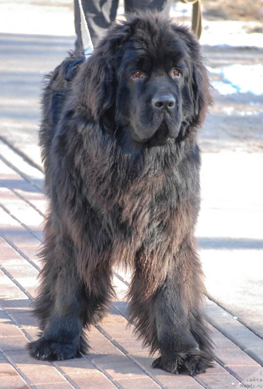 Фотография № 177253