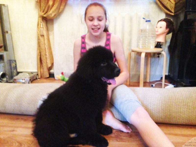 Фотография № 177258