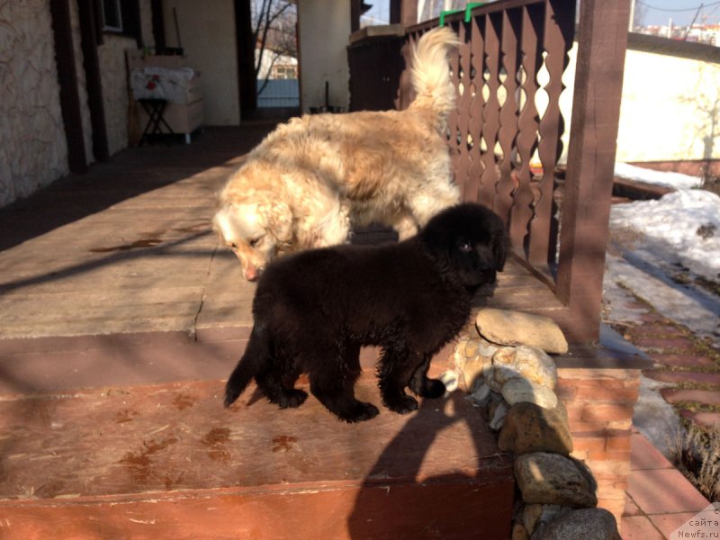 Фотография № 177259