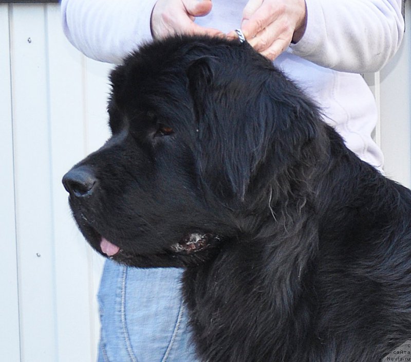 Фотография № 177292