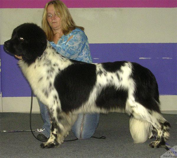 Фотография № 17730