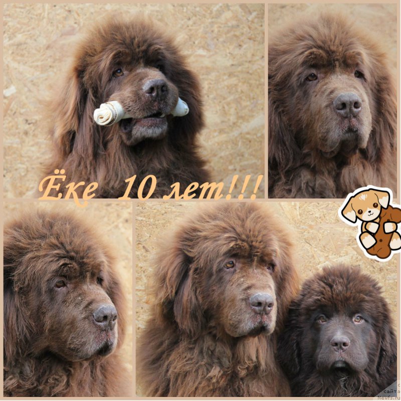 Фотография № 177310