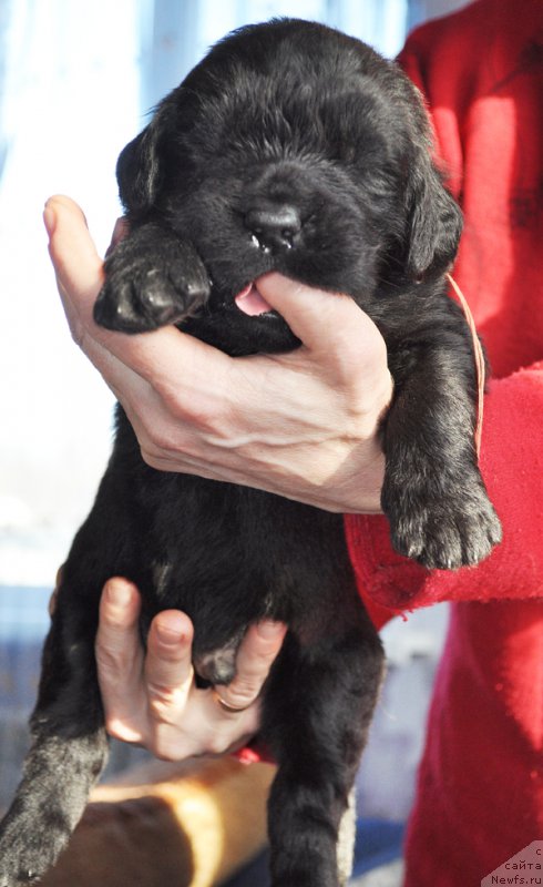 Фотография № 177317