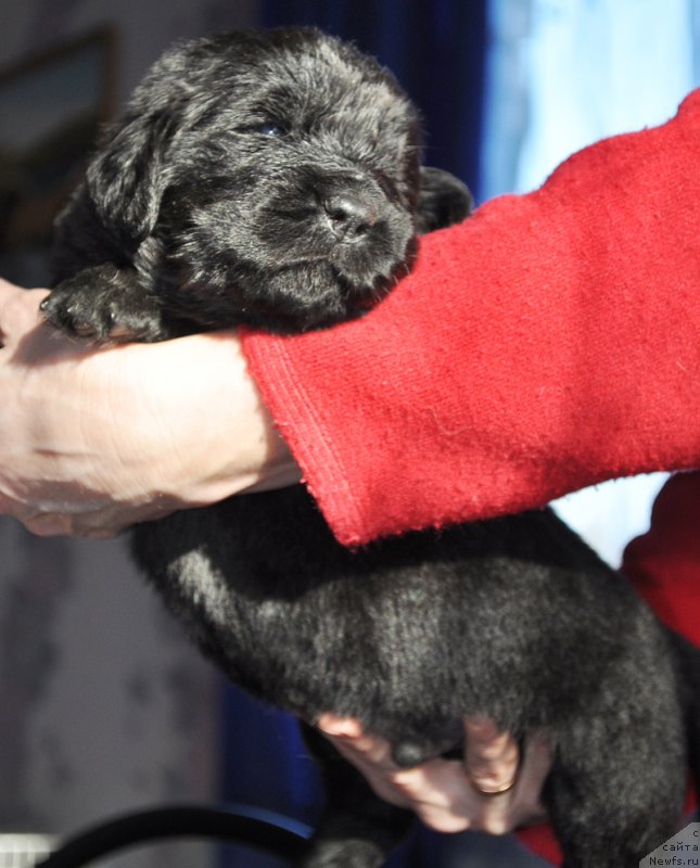 Фотография № 177319