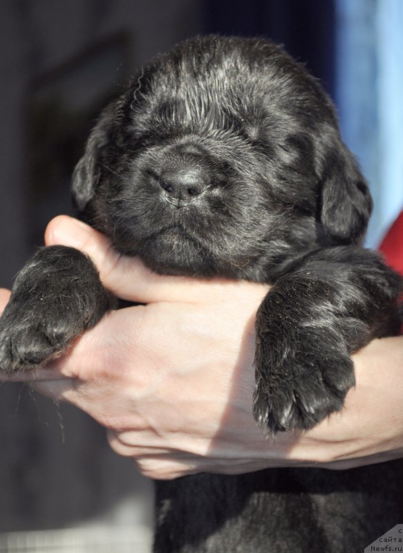 Фотография № 177352