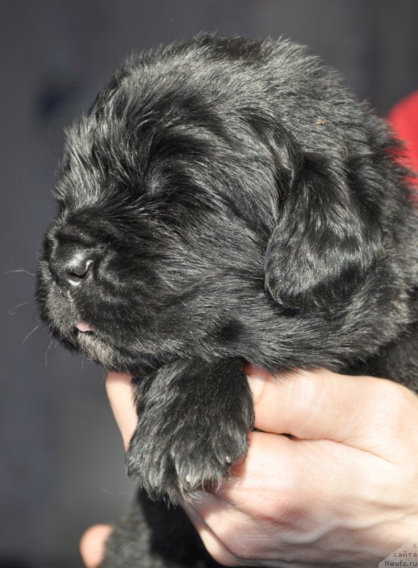 Фотография № 177360