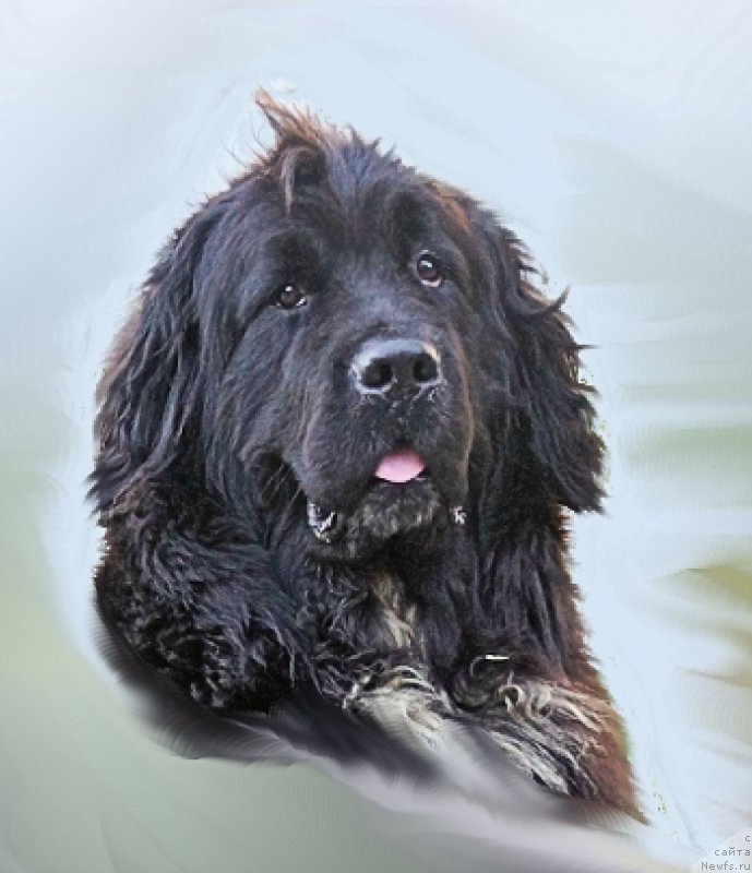 Фотография № 177362