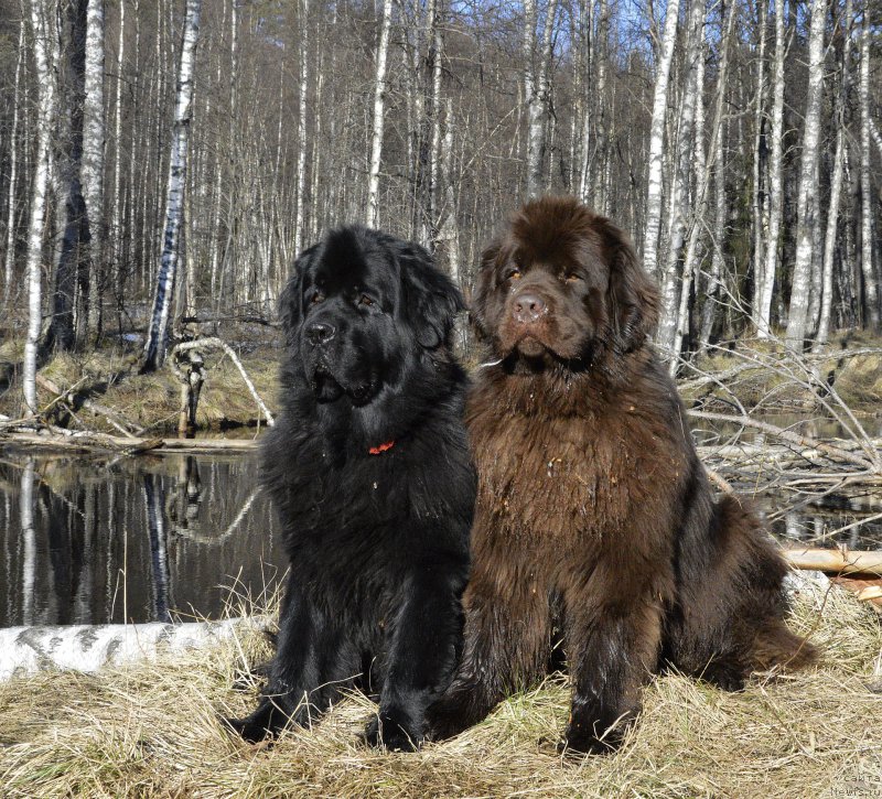 Фотография № 177375