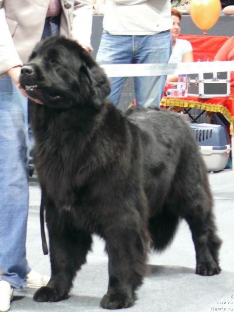 Фотография № 17738