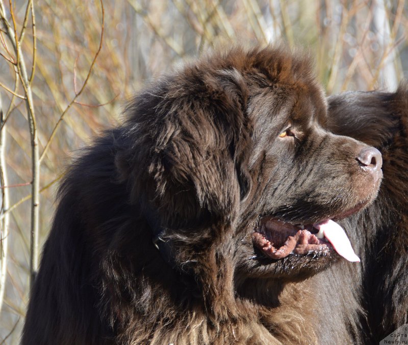 Фотография № 177388