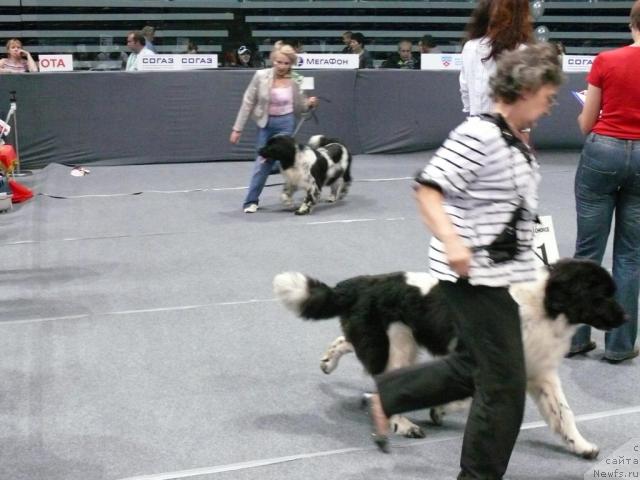 Фотография № 17739