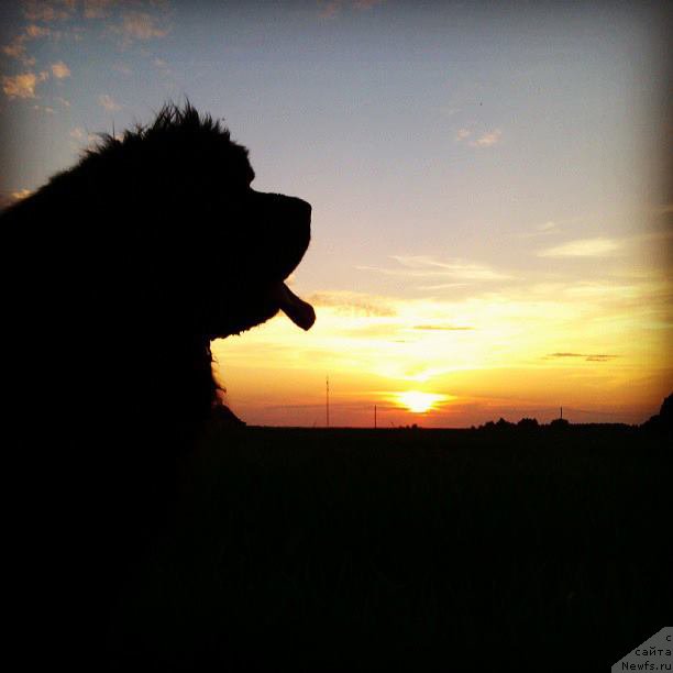 Фотография № 177392