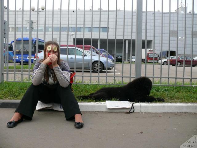 Фотография № 17740