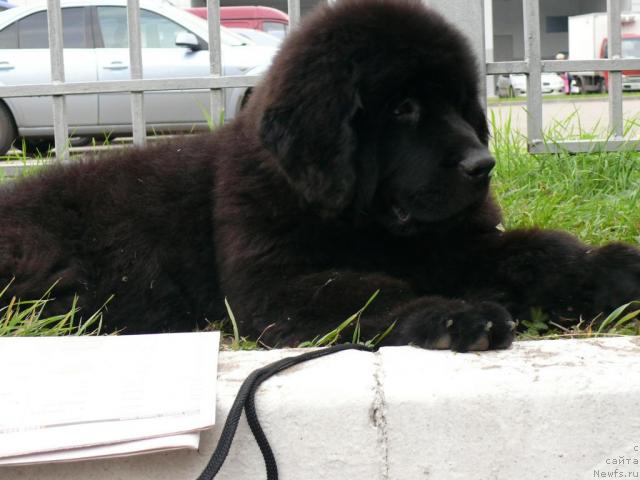 Фотография № 17741