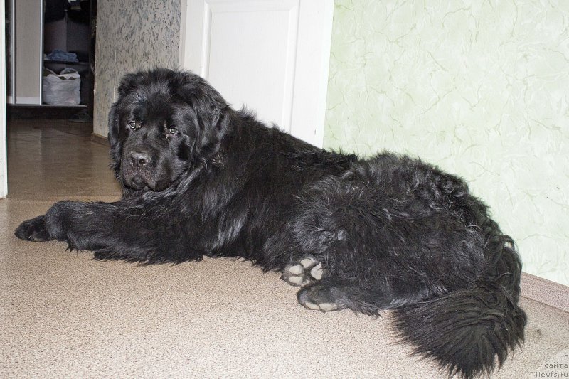 Фотография № 177415