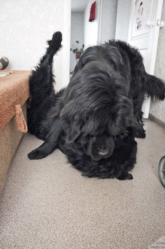 Фотография № 177418