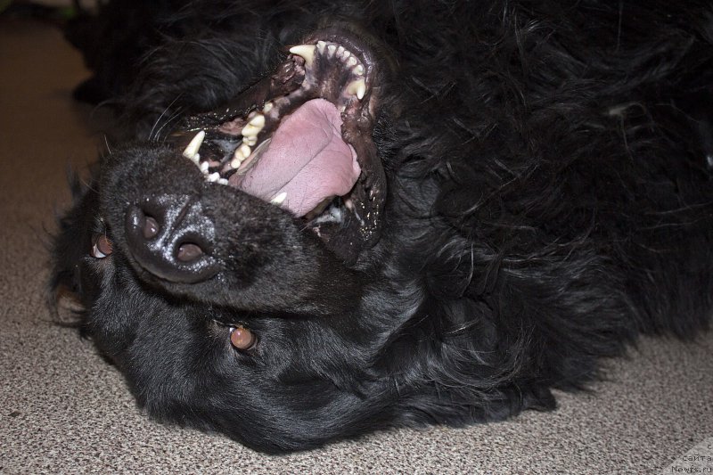 Фотография № 177420