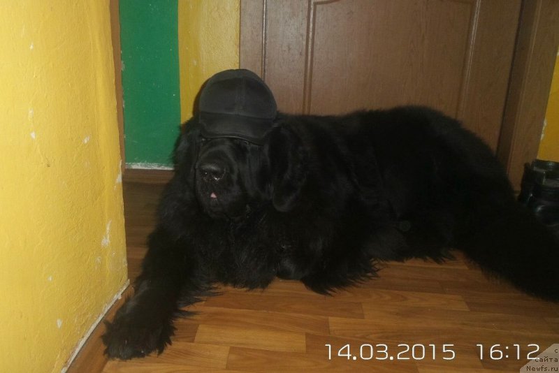 Фотография № 177438