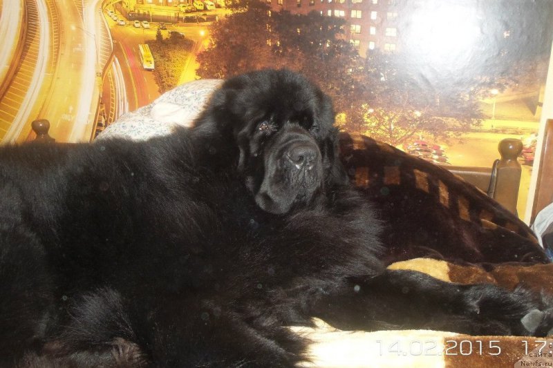 Фотография № 177439