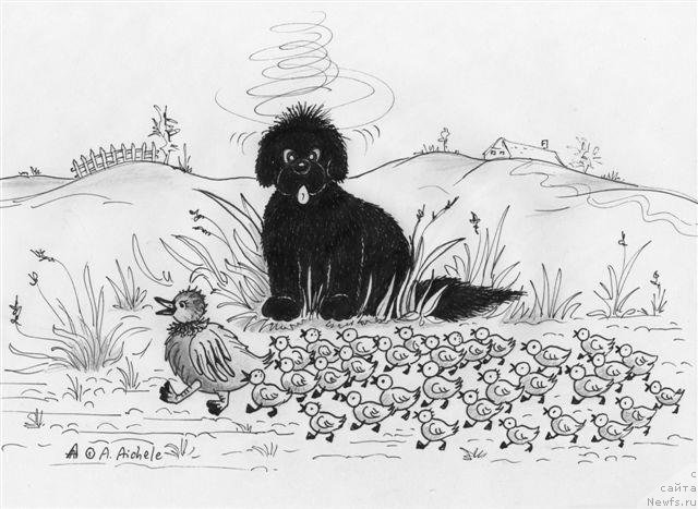 Фотография № 177448