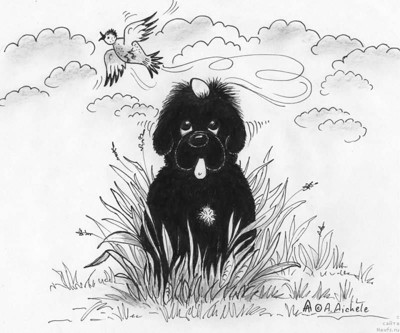 Фотография № 177451