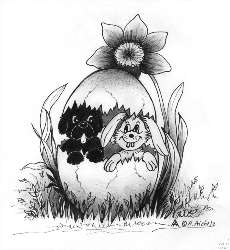 Фотография № 177453