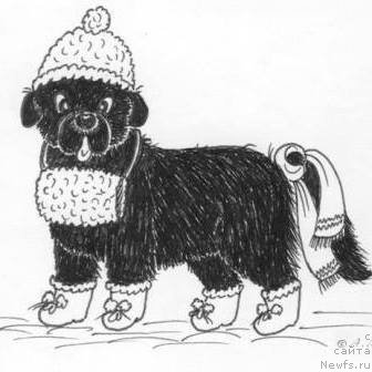 Фотография № 177454