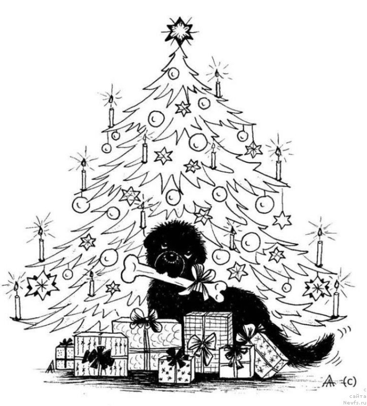 Фотография № 177456