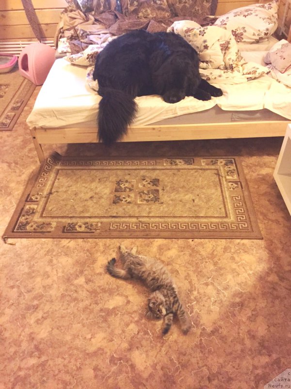 Фотография № 177480