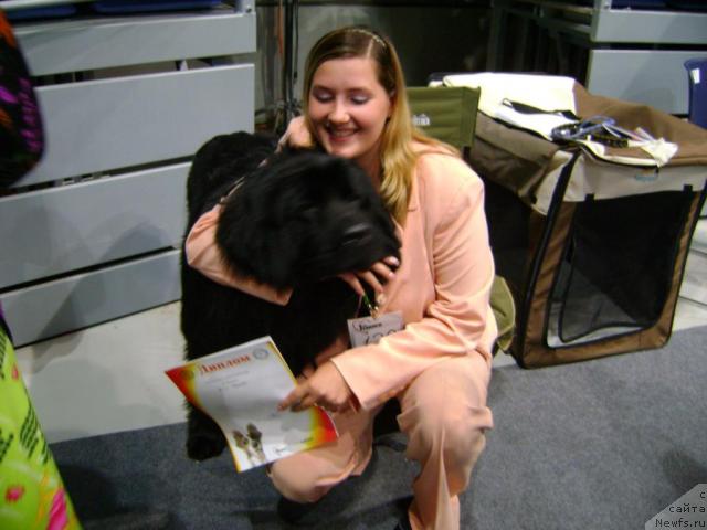 Фото: ньюфаундленд Myedjikal Oushen Gekata (Мэджикал Оушен Геката)