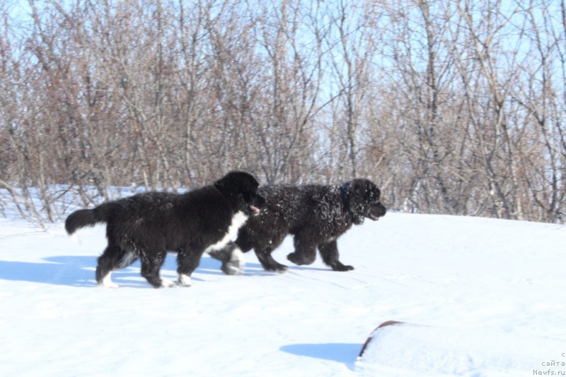 Фотография № 177551