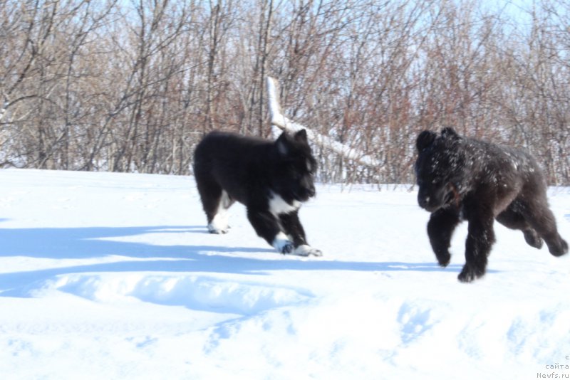 Фотография № 177552