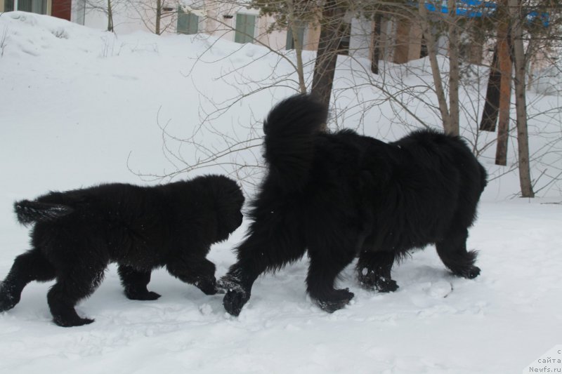 Фотография № 177584