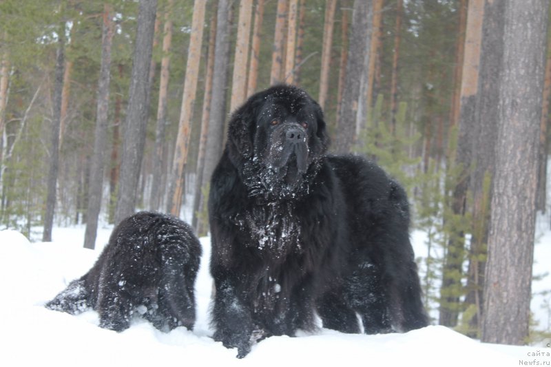 Фотография № 177586