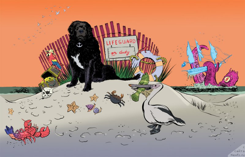 Фотография № 177602